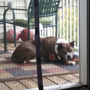 Meet your Posher, Robin